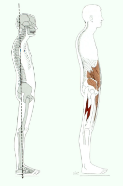posture6
