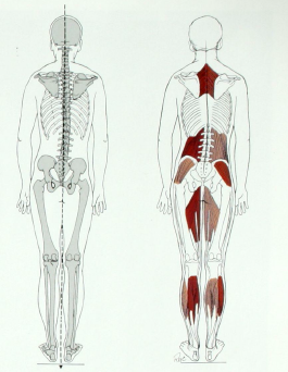posture9